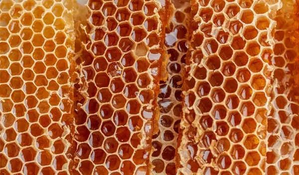 Bienenwaben
